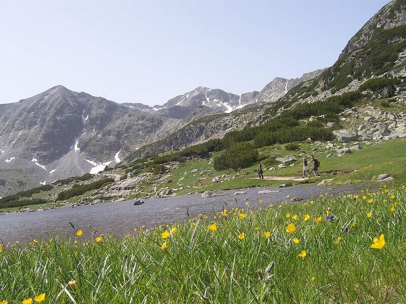 Рила